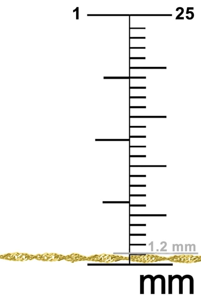 Kadın Gümüş Singapur Burgulu Zincir Burgu Kolye Özel 1.2mm Mücevher Altın - 45 cm