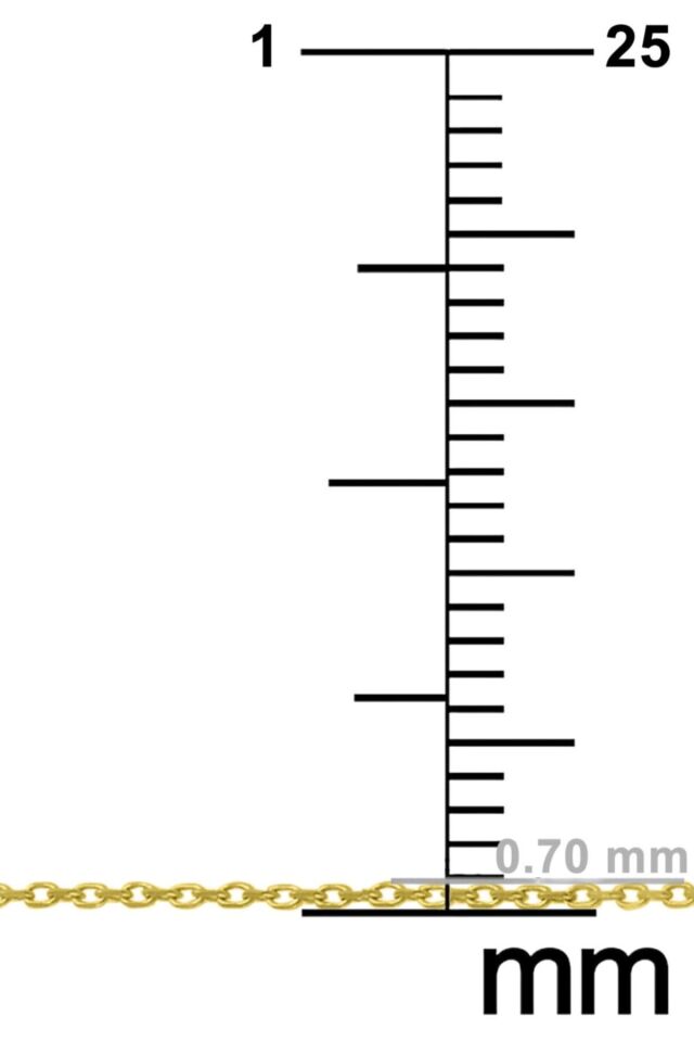 Kadın Gümüş Ince Forse Zincir Gümüş Kolye Özel 0.70mm Mücevher GOLD - 55 cm