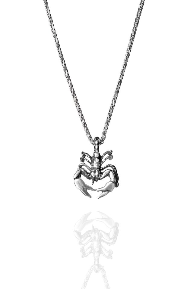 ENCİLİ SİLVER  925 Ayar Gümüş Küçük Akrep Model Erkek Kolye gümüş - 55 cm